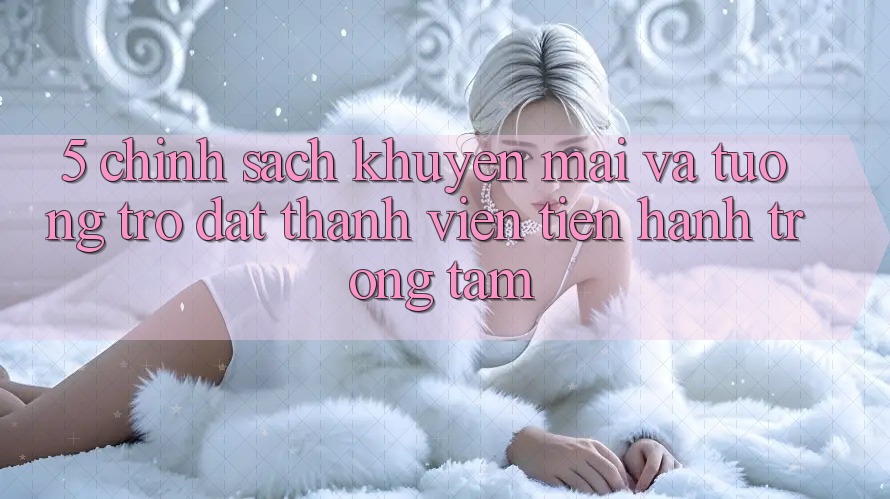 5. Chính Sách Khuyến mãi Và Tương trợ: Đặt Thành viên Tiến hành Trọng Tâm