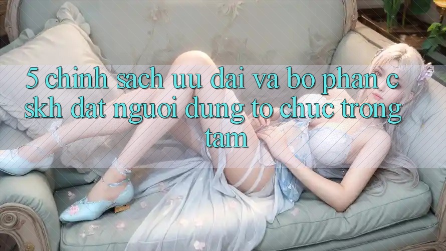 5. Chính Sách Ưu đãi Và Bộ phận CSKH: Đặt Người dùng Tổ chức Trọng Tâm