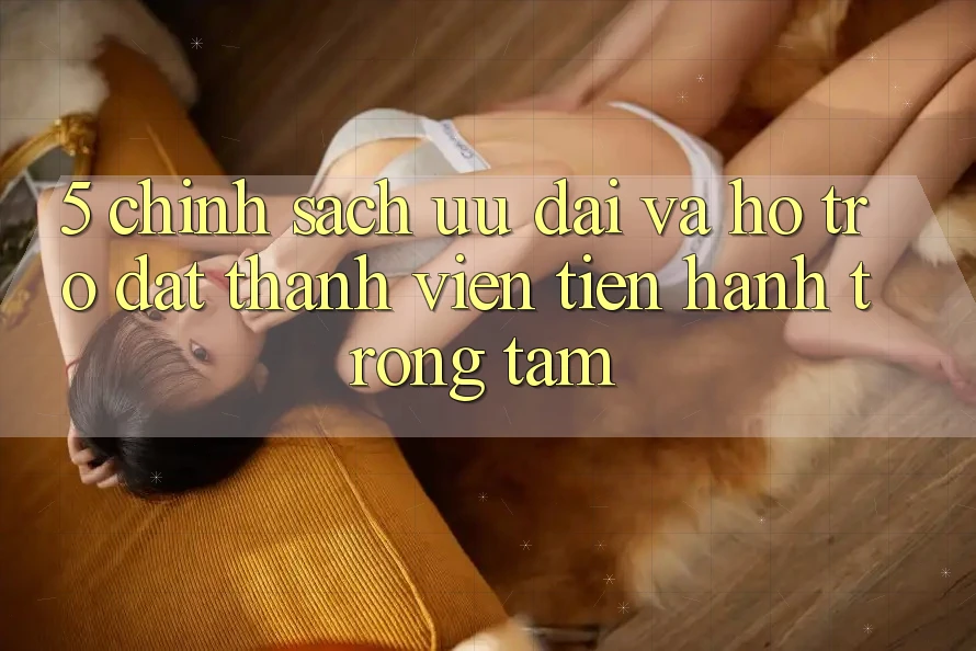 5. Chính Sách Ưu đãi Và Hỗ trợ: Đặt Thành viên Tiến hành Trọng Tâm