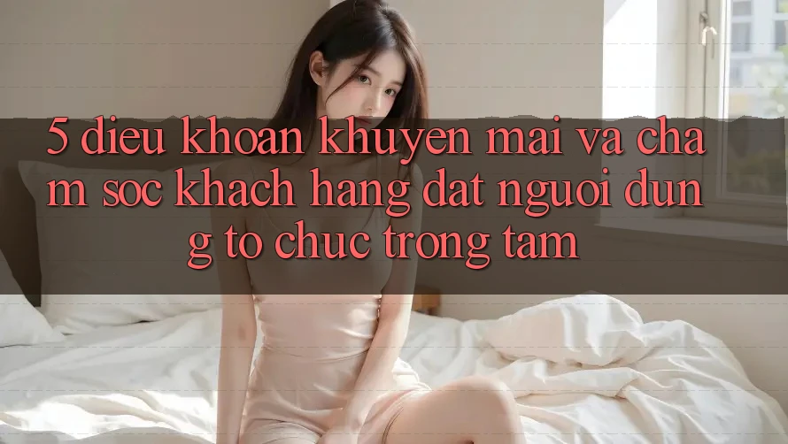 5. Điều khoản Khuyến Mãi Và Chăm Sóc Khách Hàng: Đặt Người dùng Tổ chức Trọng Tâm