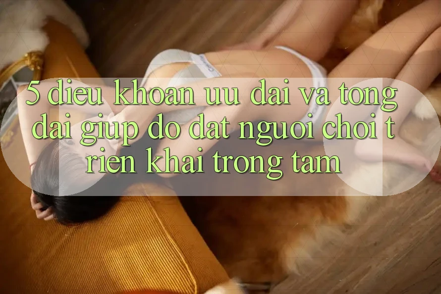 5. Điều khoản Ưu đãi Và Tổng đài giúp đỡ: Đặt Người Chơi Triển khai Trọng Tâm