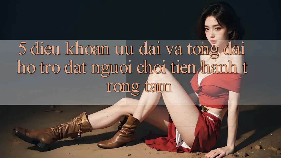 5. Điều khoản Ưu đãi Và Tổng đài hỗ trợ: Đặt Người Chơi Tiến hành Trọng Tâm