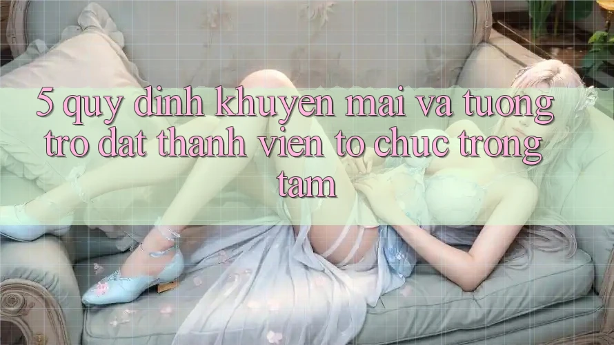 5. Quy định Khuyến Mãi Và Tương trợ: Đặt Thành viên Tổ chức Trọng Tâm