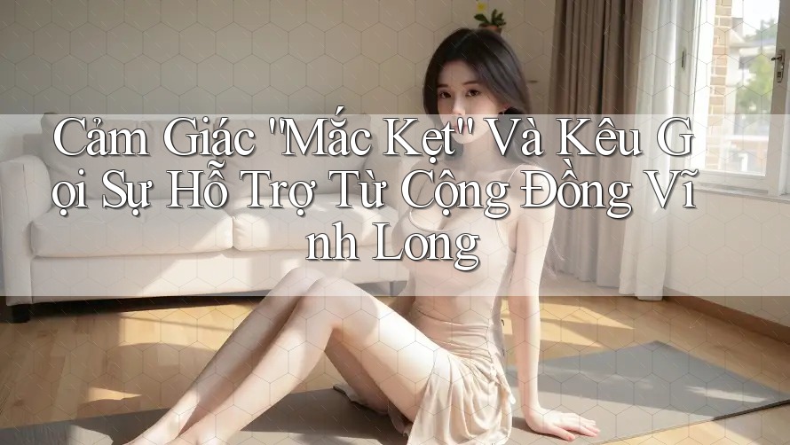 Cảm Giác “Mắc Kẹt” Và Kêu Gọi Sự Hỗ Trợ Từ Cộng Đồng Vĩnh Long