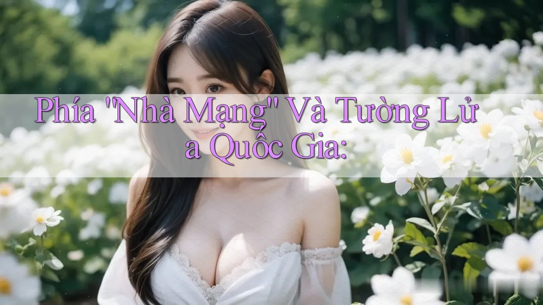 Phía “Nhà Mạng” Và Tường Lửa Quốc Gia: