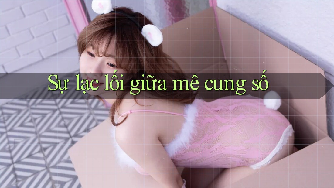 Sự lạc lối giữa mê cung số